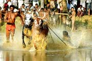 Onam Festival