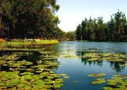 Veli Lake, Trivandrum